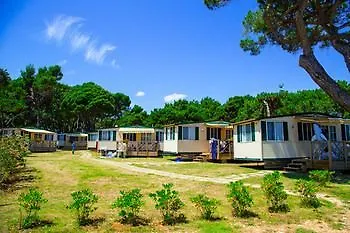 Arena Mobile Homes