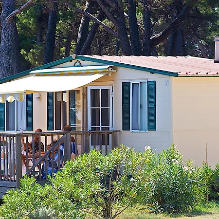 Arena Mobile Homes