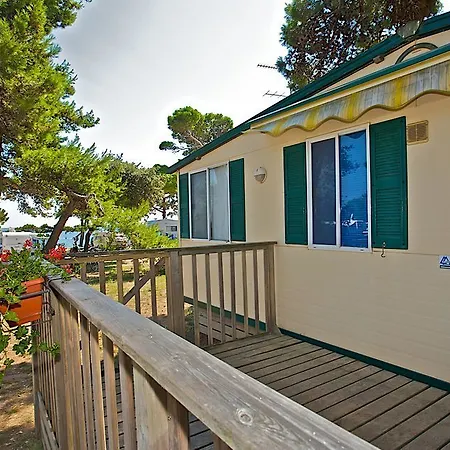 Arena Mobile Homes