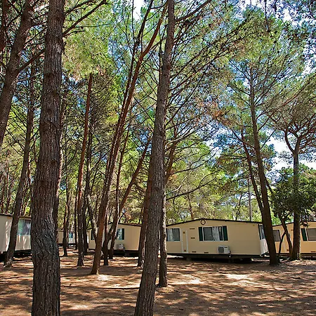 Arena Mobile Homes