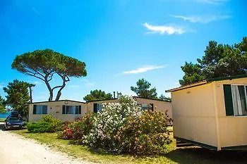 Arena Mobile Homes